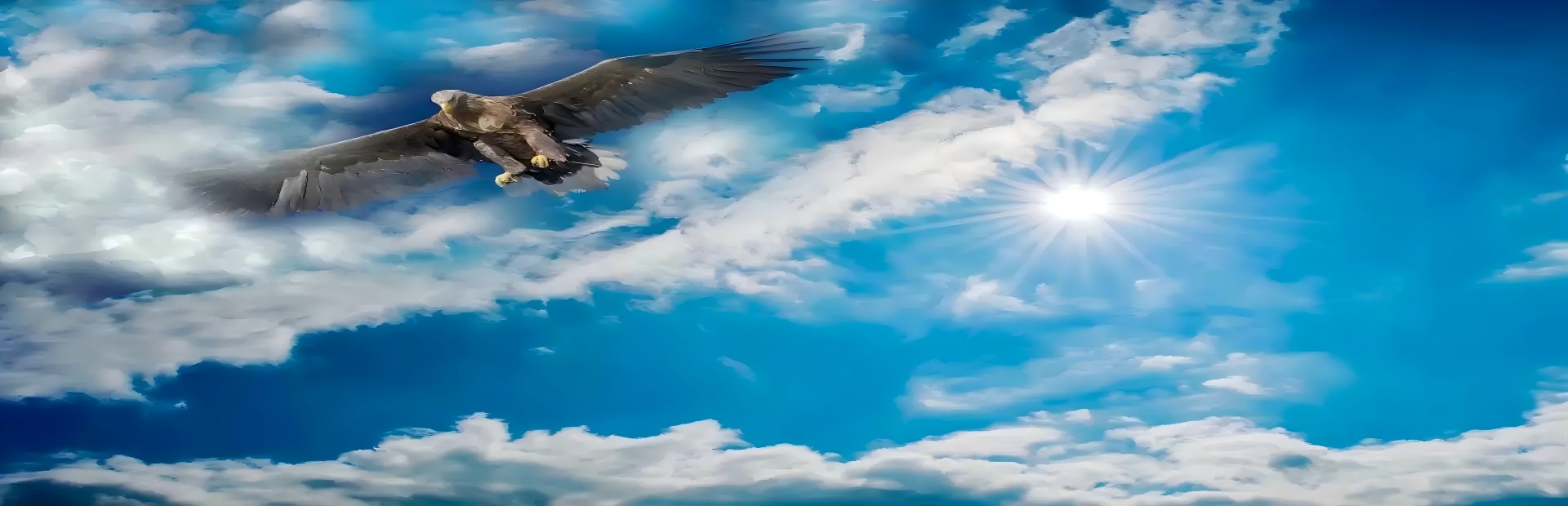 Kaiying Eagle
