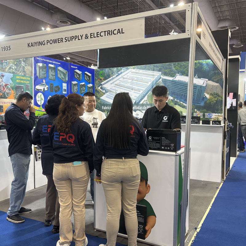 Battery Supplier in Mexico