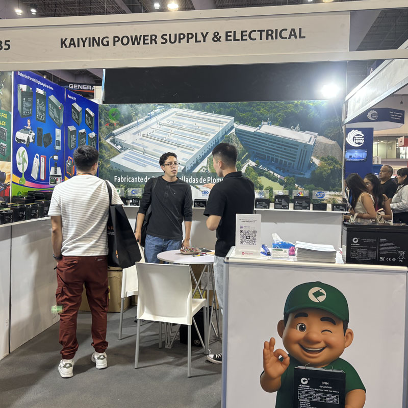 Sealed Lead Acid Battery in Mexico